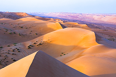 Dunes at the Sharqiya Sands, formerly Wahiba Sands, desert region, Sultanate of Oman, Arabian Peninsula