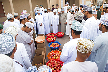 Pomegranate (fruit) auction market on Friday morning in the walled Old Town of Nizwa, Ad Dakhiliyah Region, Sultanate of Oman, Arabian Peninsula