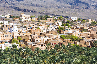 Al-Hamra village and the palm grove, a 400-year-old town in the region Ad Dakhiliyah, Akhdar Mountains, Sultanate of Oman, Arabian Peninsula