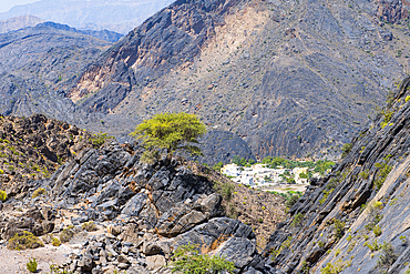 Village of Al Hajir seen from the descending track (Al Barida Road) on the western slope of Djebel Ahkdar from Sharaf al Alamayn Pass (2036m) to Bilad Sayt village and Rustaq road, Sultanate of Oman, Arabian Peninsula, Middle East