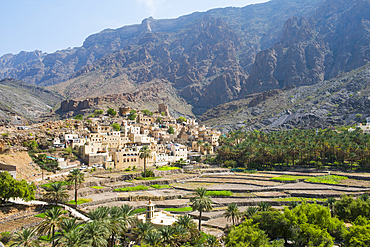 Bilad Sayt village, edge of Wadi Bani Awf, north east slope of Jebel Akhdar, Western Hajar Mountains, Al-Dakhiliyah region, Oman, Arabian Peninsula