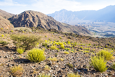 Landscape around Wakan village in the Western Hajar Mountains, South Batinah Governorate in the border with Al Dakhiliyah Governorate through Al Hajar mountain range. Sultanate of Oman, Arabian Peninsula, Middle East