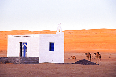 Mosque on the edge of a track at Sharqiya Sands, formerly known as Wahiba Sands, desert region of Sultanate of Oman, Arabian Peninsula