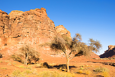 Archaeological site of Dadan, the ancient capital of the Dadan And Lihyan kingdoms more than 2000 years ago. AlUla, Medina Province, Saudi Arabia, Middle East