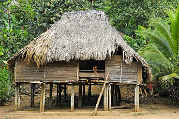 Thatched house in a village of Embera native community living by the Chagres River within the Chagres National Park, Republic of Panama, Central America