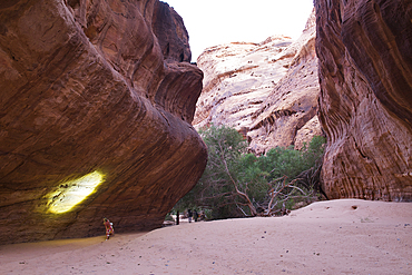 Woman walking with headlamp at the bottom of a canyon with sandstone walls in the Sharaan Nature Reserve, AlUla, Medina Province, Saudi Arabia, Middle East