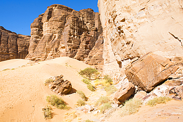 Sharaan Nature Reserve, AlUla, Medina Province, Saudi Arabia, Middle East