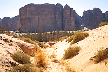 Sharaan Nature Reserve, AlUla, Medina Province, Saudi Arabia, Middle East