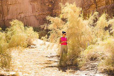 Mrs.Rana El Zein (Deputy Director Environment, Ecology and Biodiversity,French Agency for ALULA development(AFALULA) explaining to journalists about White saxaul (Haloxylon persicum), Sharaan Nature Reserve, AlUla, Medina Province, Saudi Arabia