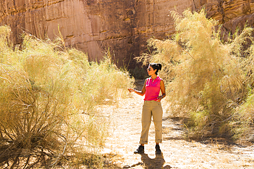 Mrs.Rana El Zein (Deputy Director Environment, Ecology and Biodiversity,French Agency for ALULA development(AFALULA) explaining to journalists about White saxaul (Haloxylon persicum), Sharaan Nature Reserve, AlUla, Medina Province, Saudi Arabia