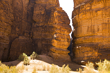 Sharaan Nature Reserve, AlUla, Medina Province, Saudi Arabia, Middle East