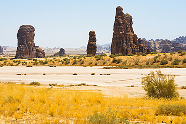 Sandstone rock tower beside a large dry salt lake in the Sharaan Nature Reserve, AlUla, Medina Province, Saudi Arabia, Middle East