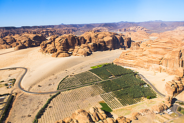 Aerial view, from helicopter, of a farm in an ancient oasis in the desert with canyons of the Ashar Valley,AlUla, Medina Province, Saudi Arabia, Middle East