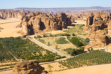 Aerial view of Palm grove and farms in the area of AlUla, Medina Province, Saudi Arabia, Middle East