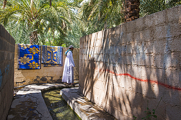 irrigation canal in the palm grove at Birkat Al Mouz in the Al Dakhliya region at the foothills of Jebel Akhdar, The Falaj irrigation system (Falaj Al-Khatmeen) of old water channels are still alive in this village listed as one of UNESCO World heritages.