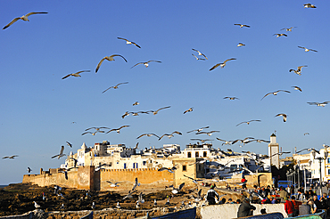 The Medina seen from sea wall on the way to the harbour, Essaouira,Morocco,North Africa