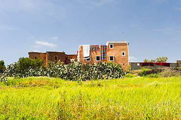 A remote house in landscape around Ait Baha,Chtouka Aït Baha Province,Souss-Massa-Draâ region,Morocco,North Africa