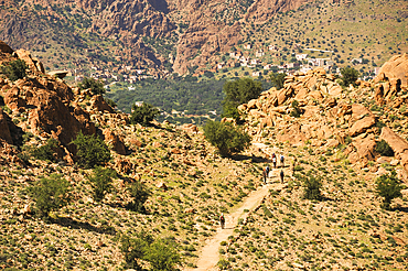 Way down to Ammeln valley with Djebel Lekst background,around Tafraout,Anti-Atlas,Morocco,Maghreb,North Africa