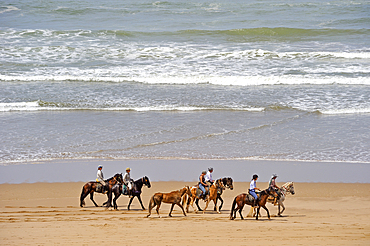 Horse riders on the beach, Souss-Massa National Park , Atlantic coast, Morocco, North Africa