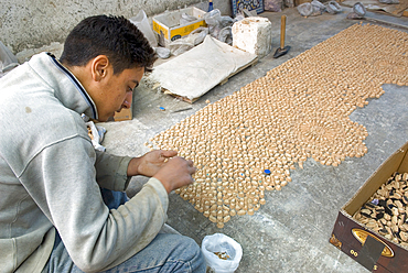 Assembling a zellige panel, pottery area,Fes, Morocco, North Africa