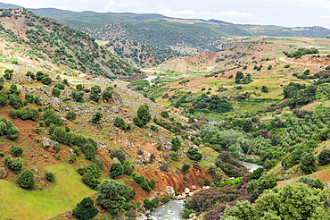 Oum-er-Rbia valley,Khenifra region,Middle Atlas,Morocco,North Africa