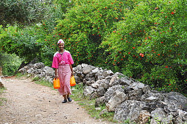 Woman on a path of Oum-er-Rbia vallee,Khenifra region,Middle Atlas,Morocco,North Africa