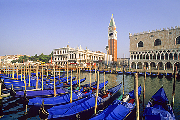 Gondolas moored at Riva degli Schiavoni with the Doges Palace and Campanile of San Marco background, Venice, UNESCO World Heritage Site, Veneto region, Italy, Europe