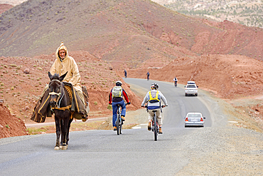 Encounter between an old man riding a mule and cyclists with mountain pedelec on the road connecting Tizi n'Tichka pass to Telouet village, Ouarzazate Province, region of Draa-Tafilalet, Morocco, North West Africa