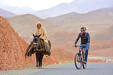 Encounter between an old man riding a mule and a cyclist with mountain pedelec on the road connecting Tizi n'Tichka pass to Telouet village, Ouarzazate Province, region of Draa-Tafilalet, Morocco, North West Africa