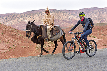 Encounter between an old man riding a mule and a cyclist with mountain pedelec on the road connecting Tizi n'Tichka pass to Telouet village, Ouarzazate Province, region of Draa-Tafilalet, Morocco, North West Africa