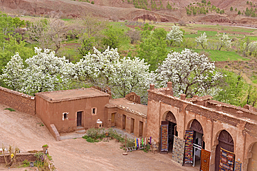 Palace of Glaoui or Telouet Kasbah, on the outskirts of the village of Telouet, Ouarzazate Province, region of Draa-Tafilalet, Morocco, North West Africa