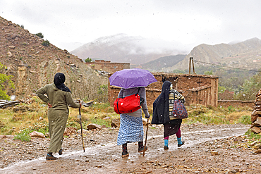 Villagers returning from the village of Tighza under the snow, Ounila River valley, Ouarzazate Province, region of Draa-Tafilalet, Morocco, North West Africa