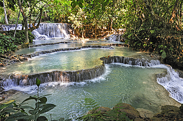 Kuang Si waterfalls, Luang Prabang, Laos, Southeast Asia