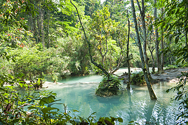 Kuang Si waterfalls, Luang Prabang, Laos, Southeast Asia