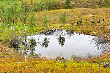 Hikers in Nordmannvikdalen valley,region of Lyngen,County of Troms,Norway,Northern Europe