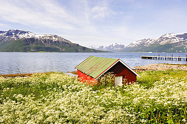 Boathouse by the Ullsfjorden.Lyngen Alps,region of Lyngen,County of Troms,Norway,Northern Europe