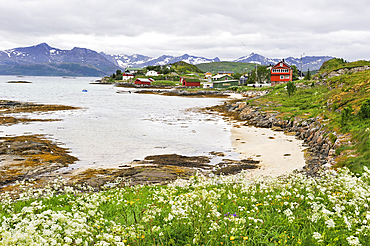 Sommaroy, County of Troms,Norway,Northern Europe