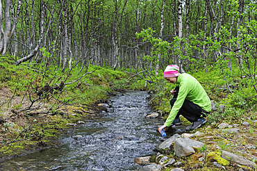 Woman filling a bottle with pure water from a torrent coming from glciers, Nordmannvikdalen valley,region of Lyngen,County of Troms,Norway,Northern Europe