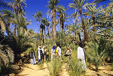 Group of people visiting gardens and palm grove of Timia,Aïr,Niger,Western Africa