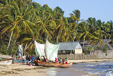 Fishermen's return, beach of Ambatoloaka, Nosy Be island,Republic of Madagascar,Indian Ocean