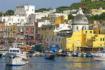 Marina Grande of Sancio Cattolico, Procida Island, Campania region, Italy, Europe