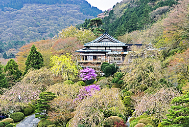 Gardens of Mikawaya Ryokan, Hakone, Japan.