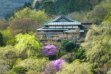 Gardens of Mikawaya Ryokan, Hakone, Japan.