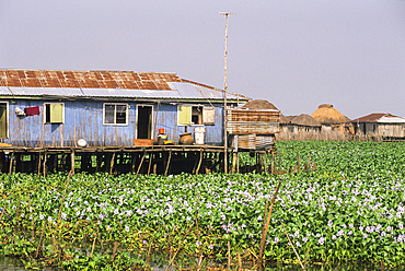 House on stilts at Ganvie lake village in Lake Nokoué, near CotonouGulf of Guinea,West Africa