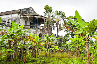 Former ruined hospital of the roca (plantation) Agua Ize, Sao Tome Island, Republic of Sao Tome and Principe,Africa