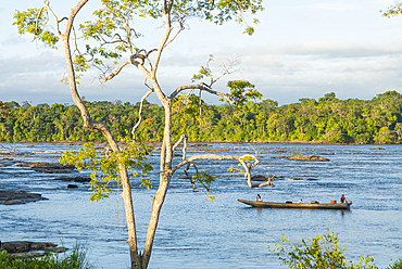View from Surapire, Amerindian village on Caura river bank, Bolivarian Republic of Venezuela, South America
