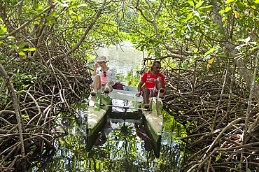 Pedalboat trip around the mangrove swamp, Grand Cul-de-sac Marin,Vieux-Bourg, Morne-a-l'eau, Grande-Terre, Guadeloupe, overseas region of France,Leewards Islands, Lesser Antilles, Caribbean