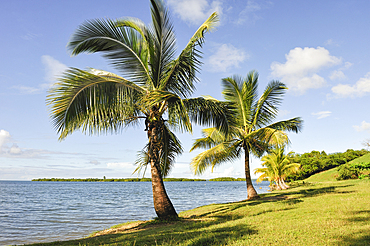 Babin beach, Morne-a-l'eau, Grande-Terre, Guadeloupe, overseas region of France,Leewards Islands, Lesser Antilles, Caribbean