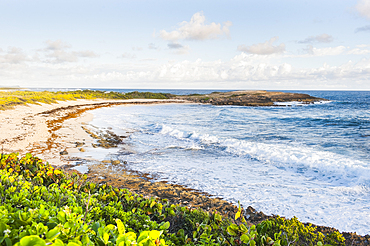 Anse des châteaux beach, Pointe des Chateaux, Grande-Terre, Guadeloupe, overseas region of France,Leewards Islands, Lesser Antilles, Caribbean