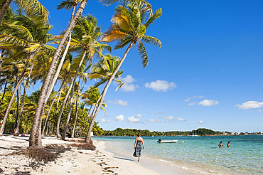 La Caravelle beach, Sainte-Anne, Grande-Terre, Guadeloupe, overseas region of France,Leewards Islands, Lesser Antilles, Caribbean